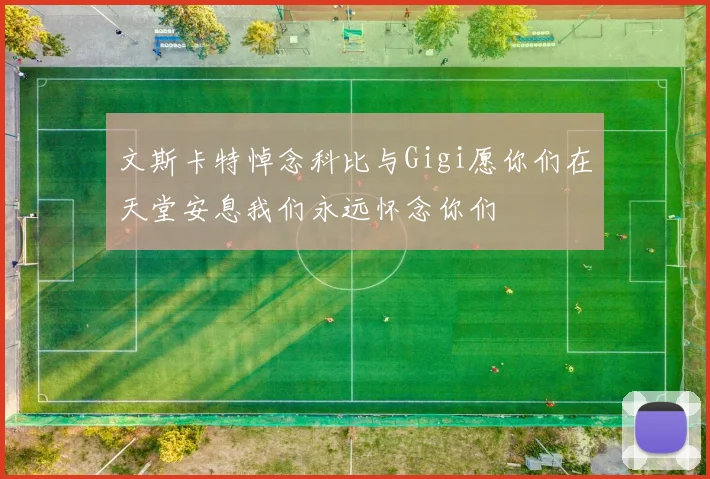 文斯卡特悼念科比与Gigi愿你们在天堂安息我们永远怀念你们