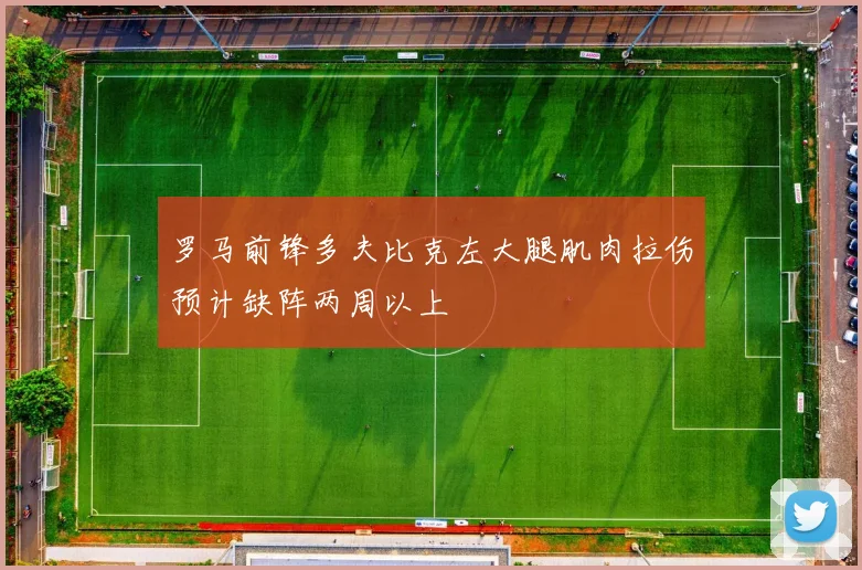 罗马前锋多夫比克左大腿肌肉拉伤预计缺阵两周以上